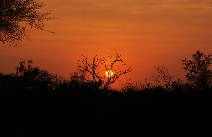 African sunset